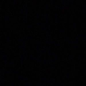 Meet your Posher, Wyatt